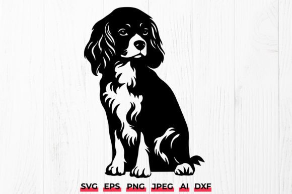 Cavalier King Charles Spaniel Dog Pet: A Designer's Honest Review