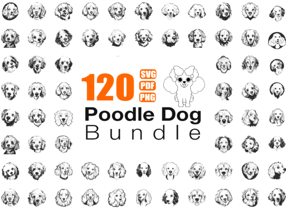 Poodle Dog Breed – Practical Embroidery Design Review